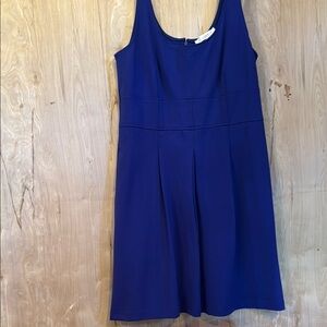 LOFT Blue Pleated Dress